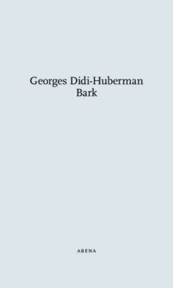 Georges Didi-Huberman: Bark